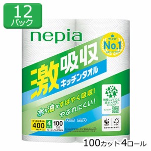 ネピア 激吸収 キッチンタオル 100カット 4ロール×12パック キッチンペーパー 送料無料 00775