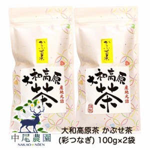 【郵送】中尾農園 奈良県田原産 大和高原茶 かぶせ茶 (彩つなぎ) 100g ×2袋 送料無料 79610