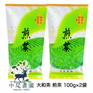 【郵送】中尾農園 奈良県田原産 大和茶 煎茶 100g ×2袋 送料無料 79616