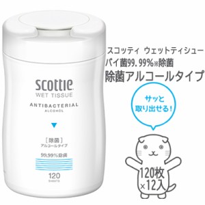 クレシア スコッティ ウェットティシュー 除菌 アルコールタイプ 120枚 12本 scottie ウエット ティッシュ 送料無料 01117