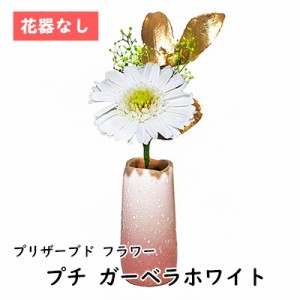 ● プチ ガーベラホワイト 花器なし [P-004] A&K プリザーブド フラワー 送料無料 75750