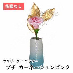 ● プチ カーネーションピンク 花器なし [P-005] A&K プリザーブド フラワー 送料無料 75751