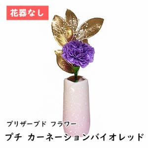 ● プチ カーネーションバイオレッド 花器なし [P-006] A&K プリザーブド フラワー 送料無料 75752