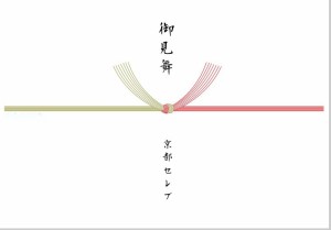 ●【郵送】 [のし紙][熨斗]七本結切(のし無し) （A4サイズ） 10枚セット かわいい 可愛い 送料無料 03154