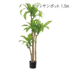 光触媒　人工観葉植物　フェイクグリーン　フレッシュドラセナW1.8m 光触媒人工観葉植物フェイクグリーンフレッシュドラセナW1.8m