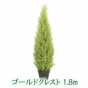 ● ゴールドクレスト 1.8m (let-2049) 造花 人工 観葉植物 フェイクグリーン 送料無料 94295