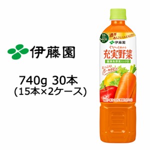 伊藤園 充実野菜 緑黄色ミックス PET 740g ×30本 (15本×2ケース) 送料無料 49895