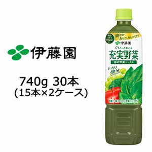 伊藤園 充実野菜 緑の野菜ミックス PET 740g ×30本 (15本×2ケース) 送料無料 49896