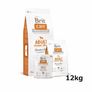 Brit ケア ラム＆ライス アダルト M 12kg 犬用