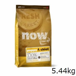 NOW FRESH ドッグ パピー 5.44kg