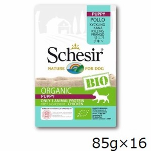 シシア　ドッグ パウチ バイオ パピー／チキン 85g×16