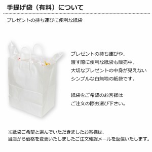［【追加★オプション　チケット】おむつケーキ用手提げ袋(紙袋)(o-1) ］