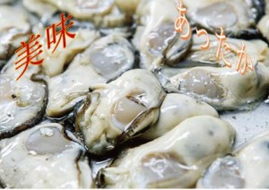 【冬の味覚、美味しい新商品】産地直送、広島牡蠣むき身 生食用 殻付き牡蠣 加熱調理用(2~3人用)むき身 500gと殻付き 10個セット【ポイン