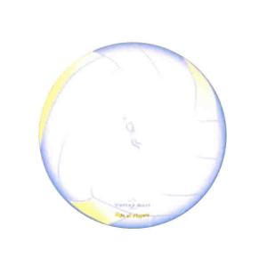 バレーボール サイン ボールの通販 Au Pay マーケット