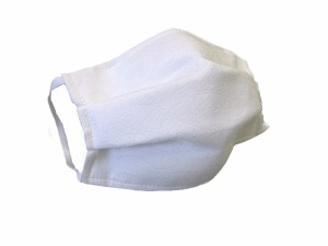 着物美人 送料無料 マスク 2枚セット 日本製 絹100％ 洗える 絹マスク 肌にやさしい シルクマスク 不織布フィルター ノーズワイヤー入り 