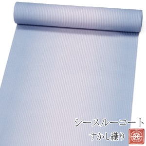 反物 シースルーコート すかし織【灰水色×淡灰ピンク ぼかし　11395】絹100％ はっ水加工済 お仕立付 雨コート 西陣織