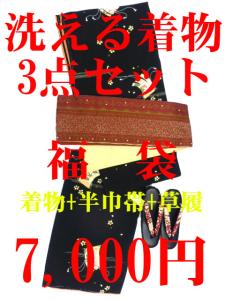 着付け お稽古 小紋 着物福袋 限定50セット 販売 着物 初心者にも 安心 小紋着物 3点フルセット