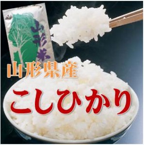 【精米・送料無料】令和５年産 山形県産 コシヒカリ ２等 玄米 ３０kg