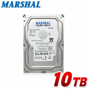 内蔵ハードディスク 10T 3.5インチ HDD SATA 6Gbit/s 7200rpm SATA 内蔵hdd 内蔵 ハードディスク