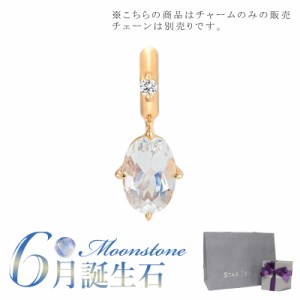 スタージュエリー STAR JEWELRY K10 チャーム TALISMANIC BLUE MOON STONE CHARM(6月の誕生石) 2JC0089 母の日