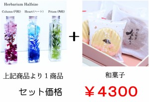 和菓子付 父の日 母の日 誕生日 プレゼント 誕生日のプレゼント 誕生日プレゼント Halfsize3type+和菓子 お花 和菓子セット 和菓子 ハー