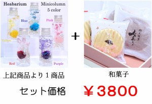 和菓子付 誕生日 プレゼント 誕生日のプレゼント 誕生日プレゼント 母の日 お花 ハーバリウム 送料無料 ミニ円柱+和菓子 プリザーブドフ