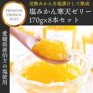 塩みかん寒天ゼリー　150g×8本　セット　送料無料 020325203201