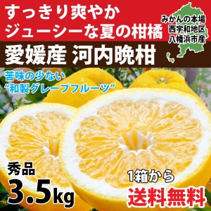 河内晩柑 秀品 3.5kg  美生柑 みかん ジューシー 和製 グレープフルーツ 愛媛 オレンジ 直送 旬 贈答