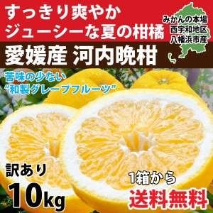 河内晩柑 訳あり 10kg  美生柑 みかん 和製 グレープフルーツ 愛媛 オレンジ 直送 旬 ご家庭用 お徳用