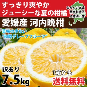 河内晩柑 訳あり 7.5kg  美生柑 みかん 和製 グレープフルーツ 愛媛 オレンジ 直送 旬 ご家庭用