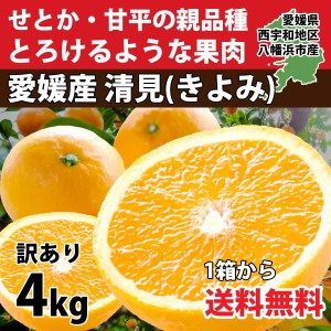 清見 みかん 清見タンゴール 清見オレンジ 訳あり 4kg 愛媛産 オレンジ 甘い 濃厚 箱 産地直送