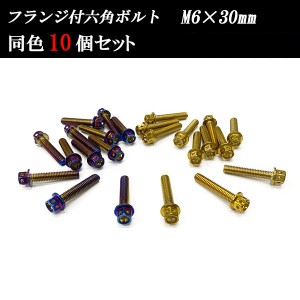 フランジ付六角ボルト M6×30mm P1.0 フラワーヘッド ステンレス 10個set 車 汎用 外装 カー用品 ポイント消化 送料無料