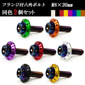 フランジ付六角ボルト M8×30mm P1.25 カラーワッシャー フジツボ 22×4mm 2個set 車 汎用 外装 カー用品 ポイント消化 送料無料