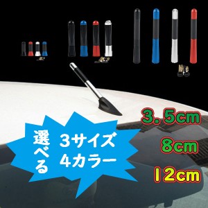 ショート アンテナ カーボン アダプター スペーサー 3.5cm 8cm 12cm 車 汎用 外装 カー用品 ポイント消化 送料無料