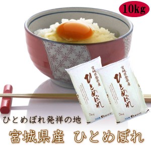 令和5年産 送料無料 宮城県 登米産 ひとめぼれ 無洗米 10kg (5kg×2) デザインポリ袋仕様 米 10kg 