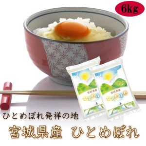 令和5年産 米 9kg 送料無料 宮城県 登米産 ひとめぼれ 白米 9kg（3kg×3）※沖縄県は送料＋2000円