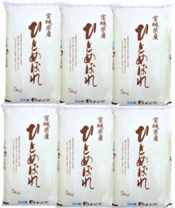 心葉様専用 ひとめぼれ 精米済み 1等米【令和２年産】30kg（5kg×6）の+