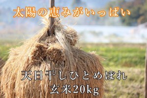 令和5年産 【天日干し】宮城県産 ひとめぼれ 玄米 20kg (10kg×2袋) 一等米 希少な天日干し 健康食 マクロビ 未調整玄米 ＊沖縄県送料別