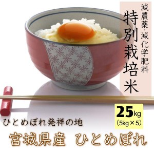 令和5年産 宮城県産 島陰輝夫さん作 ひとめぼれ 無洗米 25kg 特別栽培米 減農薬 減化学肥料 米 シェア まとめ買い