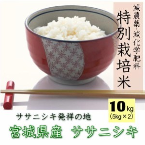 ◆ 令和5年産◆ 白米 10kg 送料無料 宮城県 登米産 特別栽培米 ササニシキ 白米 10kg 減農薬・減化学肥料 