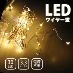 造形 イルミネーション ジュエリーライト ライト 防水 LED ワイヤー蛍 30球 【シャンパンゴールド】 (sb-wb001sgm)【メール便送料無料】 