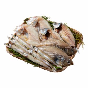 山陰海鮮一夜干しセット 6365-40 7943-966 【送料無料】 海鮮セット 魚 干物 乾物 アジの開き カレイ ギフト お中元 夏ギフト 暑中見舞い