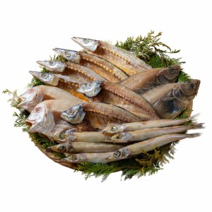 山陰海鮮一夜干しセット 6366-50 7943-978 【送料無料】 海鮮セット 魚 干物 乾物 アジの開き かます ギフト お中元 夏ギフト 暑中見舞い