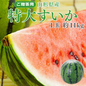 ジェイエイてんどうフーズ お中元 ギフト【早期予約】 山形県産 すいか ６Ｌ旬 産地直送 ※7月下旬頃より順次出荷予定 wm03