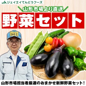 ジェイエイてんどうフーズ 【山形市場厳選】 おまかせ 野菜 セット