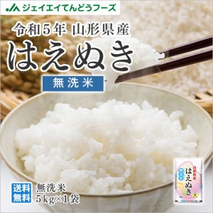 ジェイエイてんどうフーズ お米 令和5年 山形県産 はえぬき 無洗米 5kg（5kg×1袋） 時短 産地直送  rhm0505