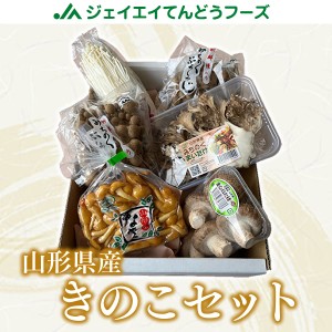 ジェイエイてんどうフーズ 山形県産きのこセット 生椎茸 ぶなしめじ えのき なめこ 舞茸 knk05