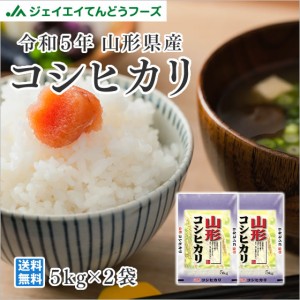 ジェイエイてんどうフーズ 米 令和5年産 米 お米  山形県産 コシヒカリ 精米 10kg（5kg×2袋） 産地直送　ryk1005