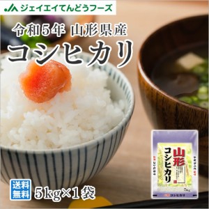 ジェイエイてんどうフーズ 新米 令和5年産 米 お米  山形県産 コシヒカリ 精米 5kg（5kg×1袋） 産地直送 ryk0505