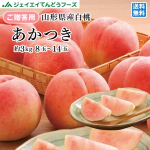 ジェイエイてんどうフーズ お中元 ギフト 贈答用 山形県産 白桃 あかつき 約3kg(8玉〜14玉) ※一部地域は別途送料 早期予約 果物　フルー